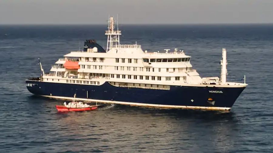 Sudáfrica confirma cepa Andes de hantavirus en brote de crucero internacional