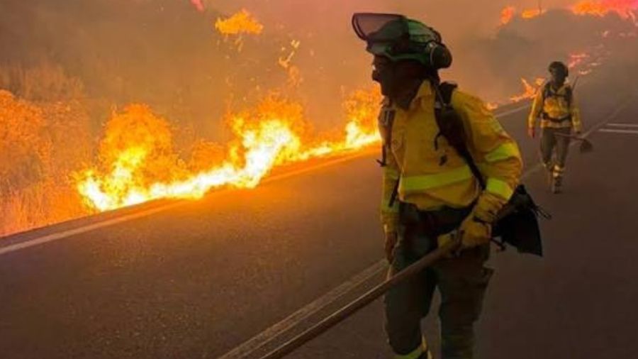 Al menos 11 muertos tras incendio en un centro asistencial en Argelia.